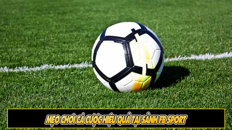 Mẹo chơi cá cược hiệu quả tại Sảnh FB Sport