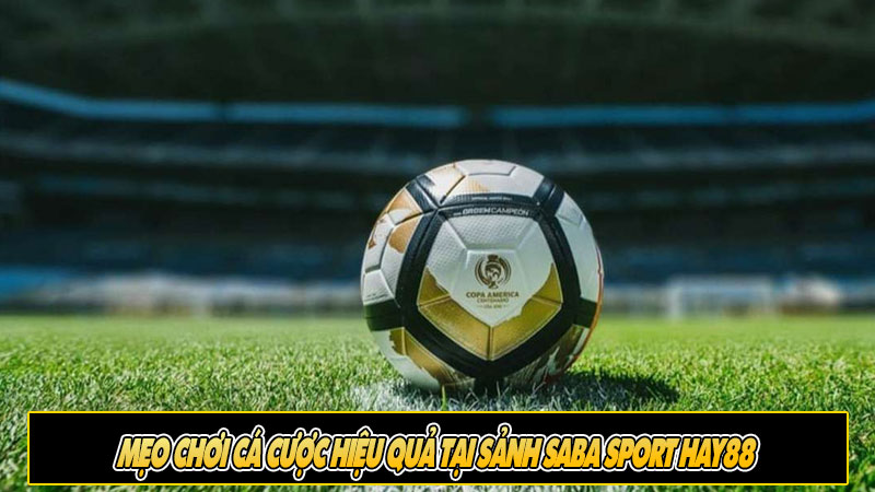 Mẹo chơi cá cược hiệu quả tại Sảnh Saba Sport Hay88